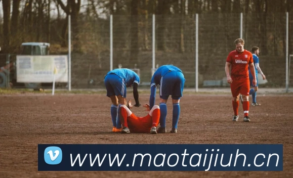 半岛网页版平台生态图