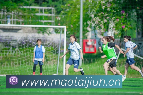 半岛网页版全站App